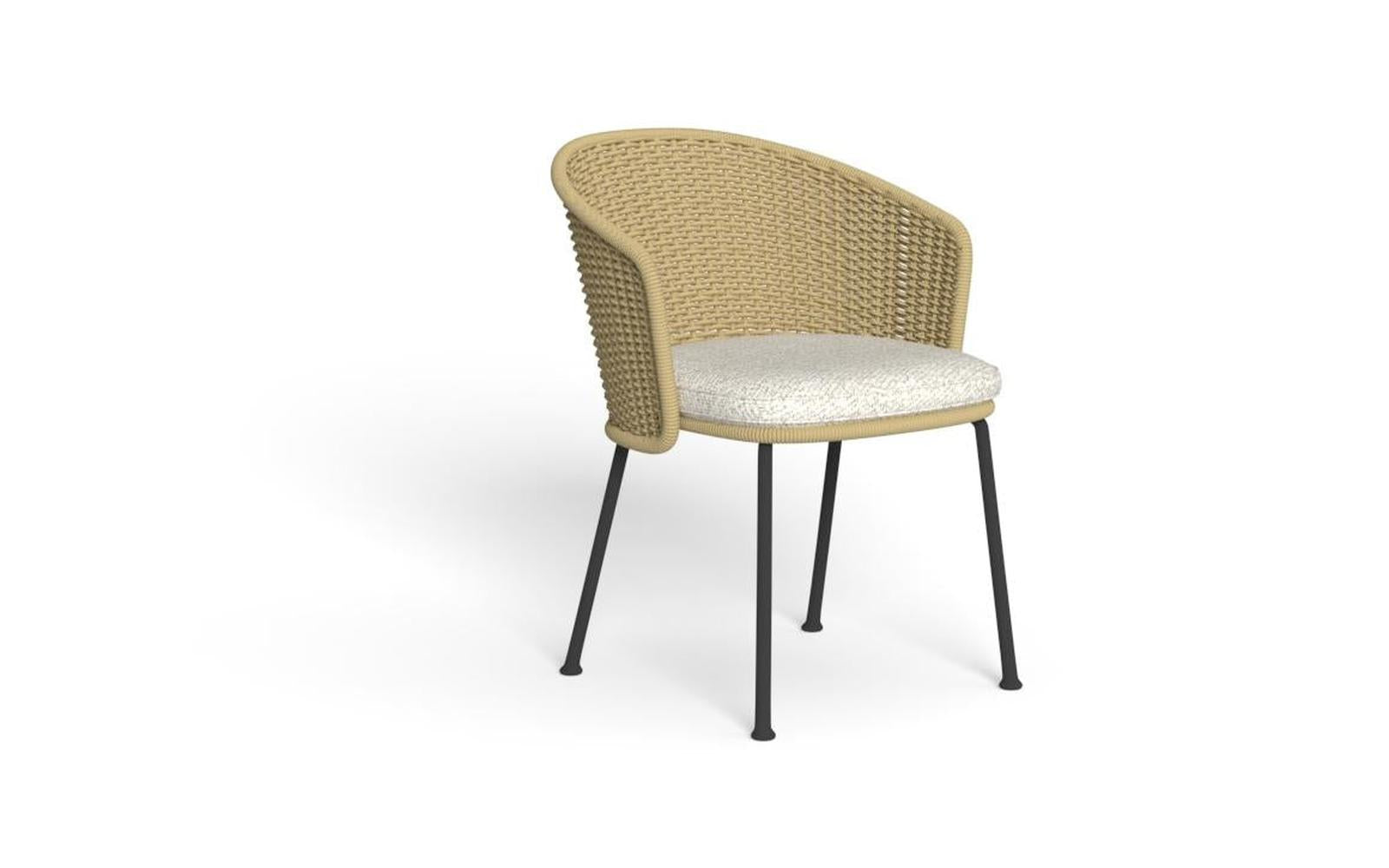 Nido Dining Chair